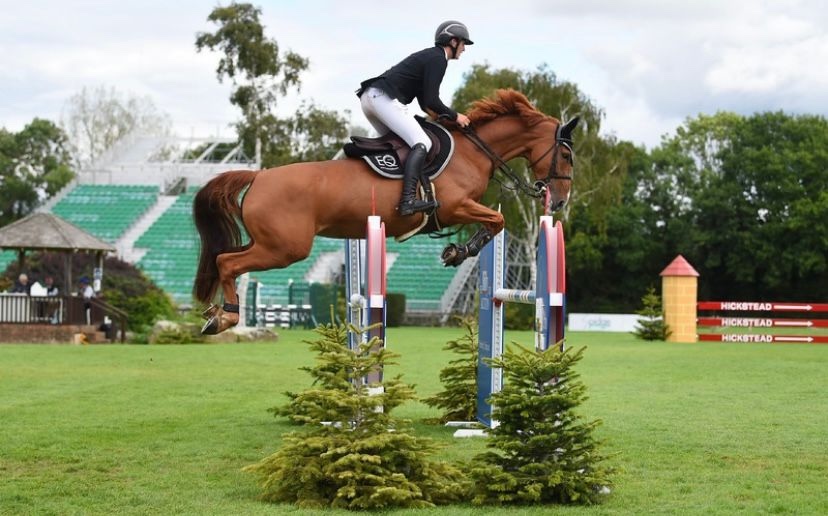 Queen - 16.2hh, 7-year-old chestnut mare out of the great stallion Lordanos out of Power Light sired mare