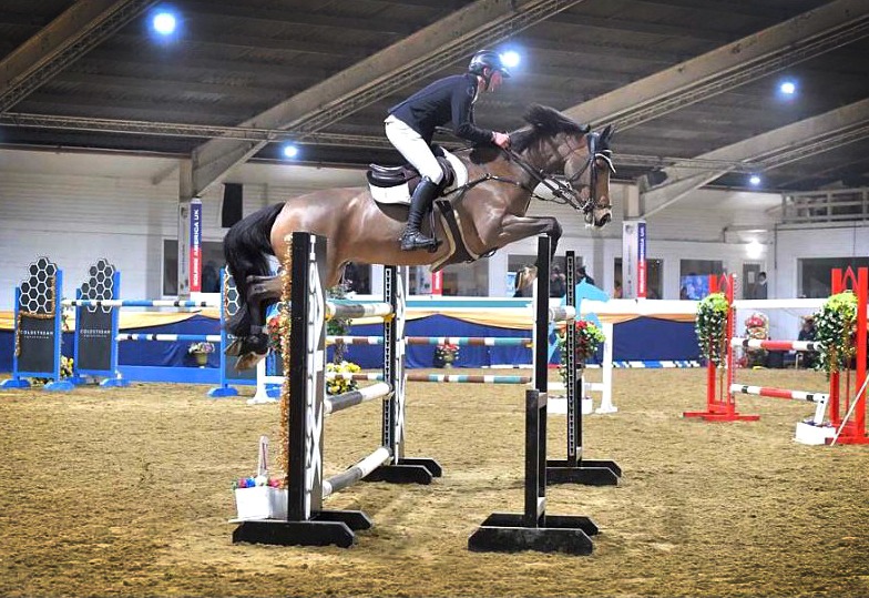 Cordette - 16.2hh, 9-year-old, bay mare by Millfield Cascade, out of a Lorenzo mother