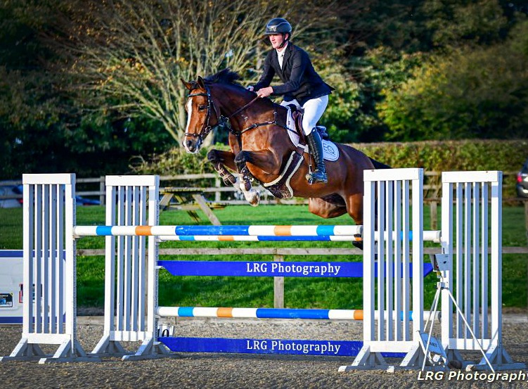 Cordette - 16.2hh, 9-year-old, bay mare by Millfield Cascade, out of a Lorenzo mother