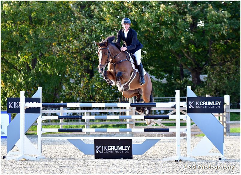 Cordette - 16.2hh, 9-year-old, bay mare by Millfield Cascade, out of a Lorenzo mother