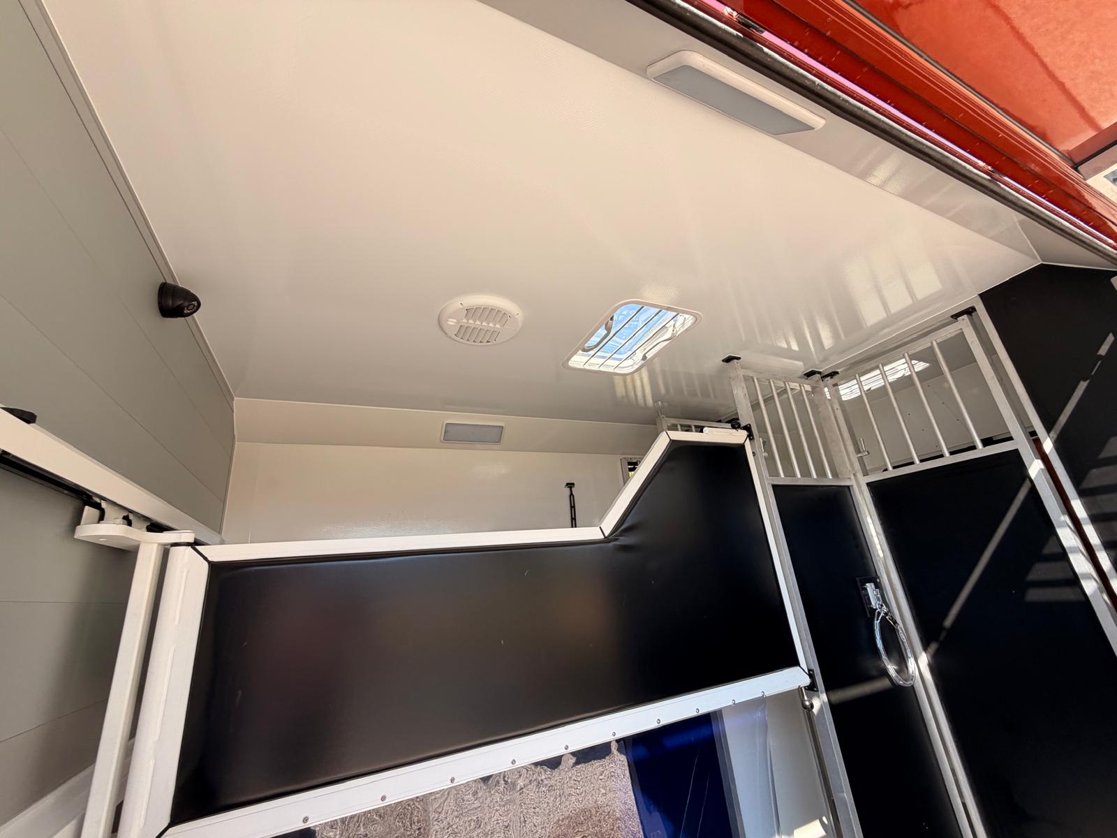 New 3.5-tonne Professional horsebox. 2 stall
