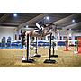 Cordette - 16.2hh, 9-year-old, bay mare by Millfield Cascade, out of a Lorenzo mother