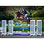 Cordette - 16.2hh, 9-year-old, bay mare by Millfield Cascade, out of a Lorenzo mother