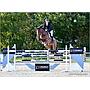 Cordette - 16.2hh, 9-year-old, bay mare by Millfield Cascade, out of a Lorenzo mother