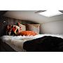 Luxury 18-tonne Scania EQ-built horsebox. 5 stall / 6 berth